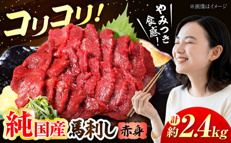 『純国産』熊本の味 コリコリ 赤身 馬刺し 計約2.4kg（約400g×6セット）赤身馬刺し [AYCN061]