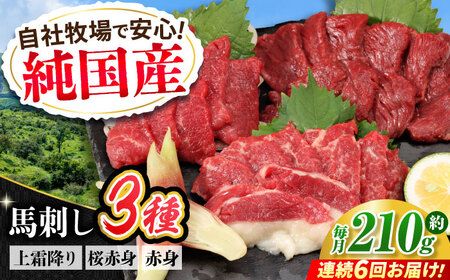 【全6回定期便】『純国産』熊本の味 馬刺し お試し 3種 セット 計約210g（2?3人前）上霜降り 霜降り 赤身 赤身馬刺し [AYCN071]