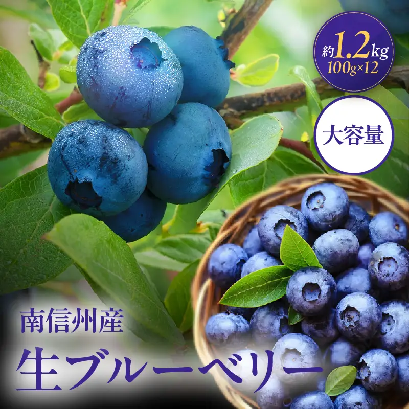 南信州産 生ブルーベリー 約100ｇ × 12パック ＜2026年6月中旬～順次発送予定＞ ＪＡみなみ信州ＤＭセンター ｜ 長野県 飯田市