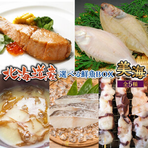 【中身は届いてからのお楽しみ】お魚お楽しみBOX 美海(5種） 
