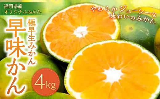 福岡県産 極早生みかん・早味かん 約4kg 早生 ミカン 果物 くだもの フルーツ 柑橘 かんきつ 【2026年9月上旬～9月下旬発送予定】