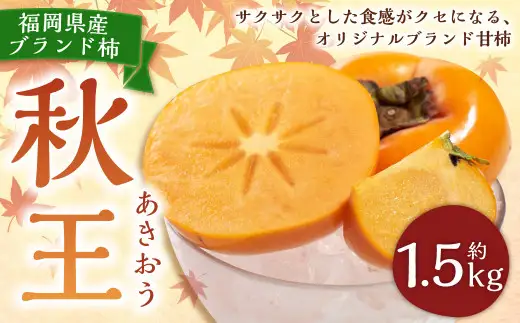 福岡県産ブランド柿・秋王 約1.5kg （4-6玉） 柿 カキ かき 果物 くだもの フルーツ 冷蔵 国産 岡垣町 【2026年10月下旬～11月下旬発送予定】
