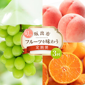 坂出市 旬のフルーツを味わう3回 定期便