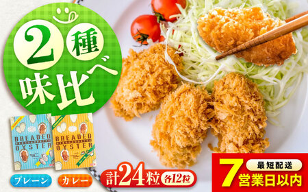 【スピード発送】冷凍 カキフライ (2種 食べ比べ 12粒×2袋) プレーン×カレー [BACG014]カキフライ