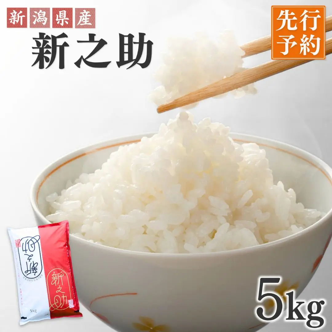 新潟県産新之助 5kg 令和7年 精米 新之助