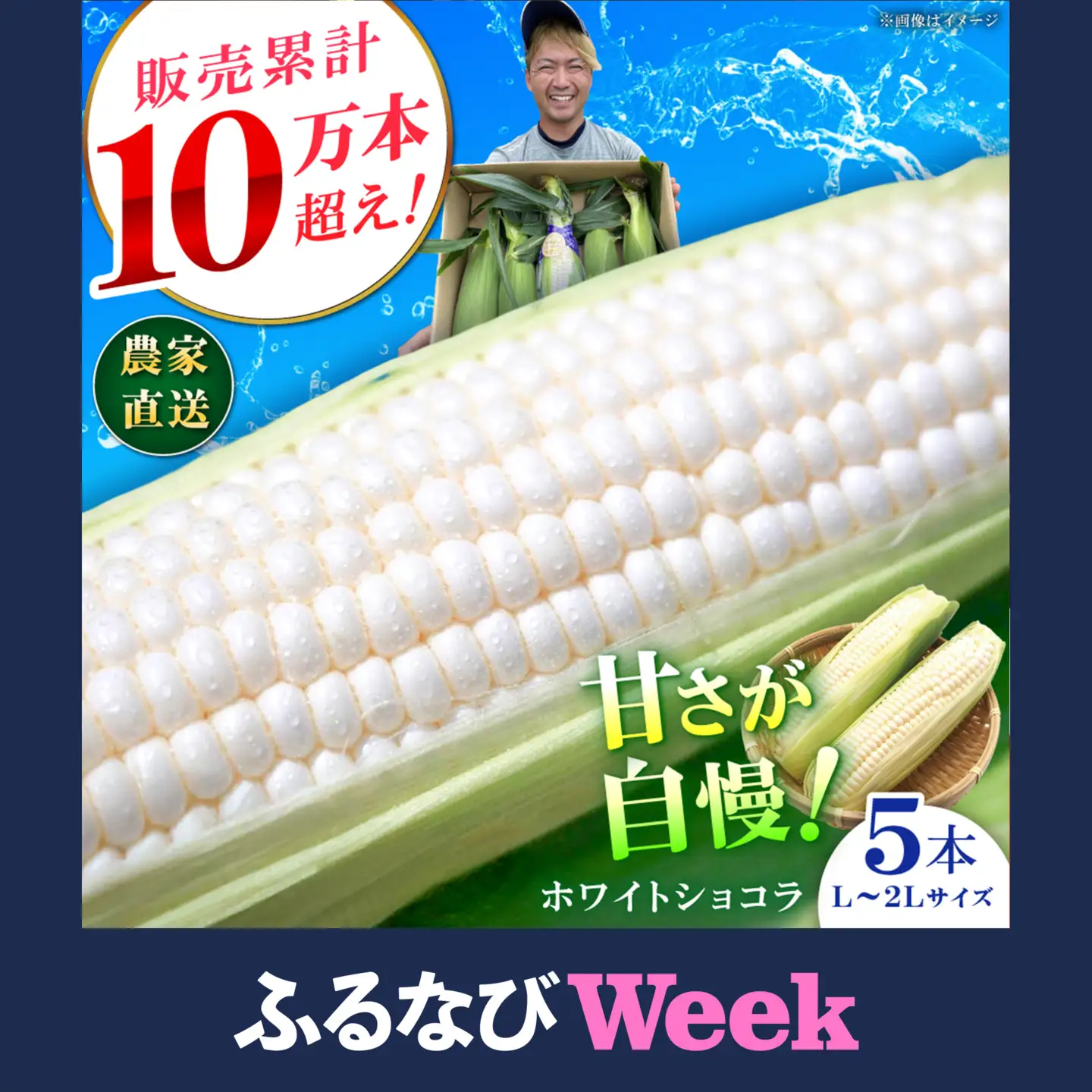 【先行予約】【数量限定】白いとうもろこし ホワイトショコラ 5本 とうもろこし 【ふるなびWEEK対象】 [BDAX001]