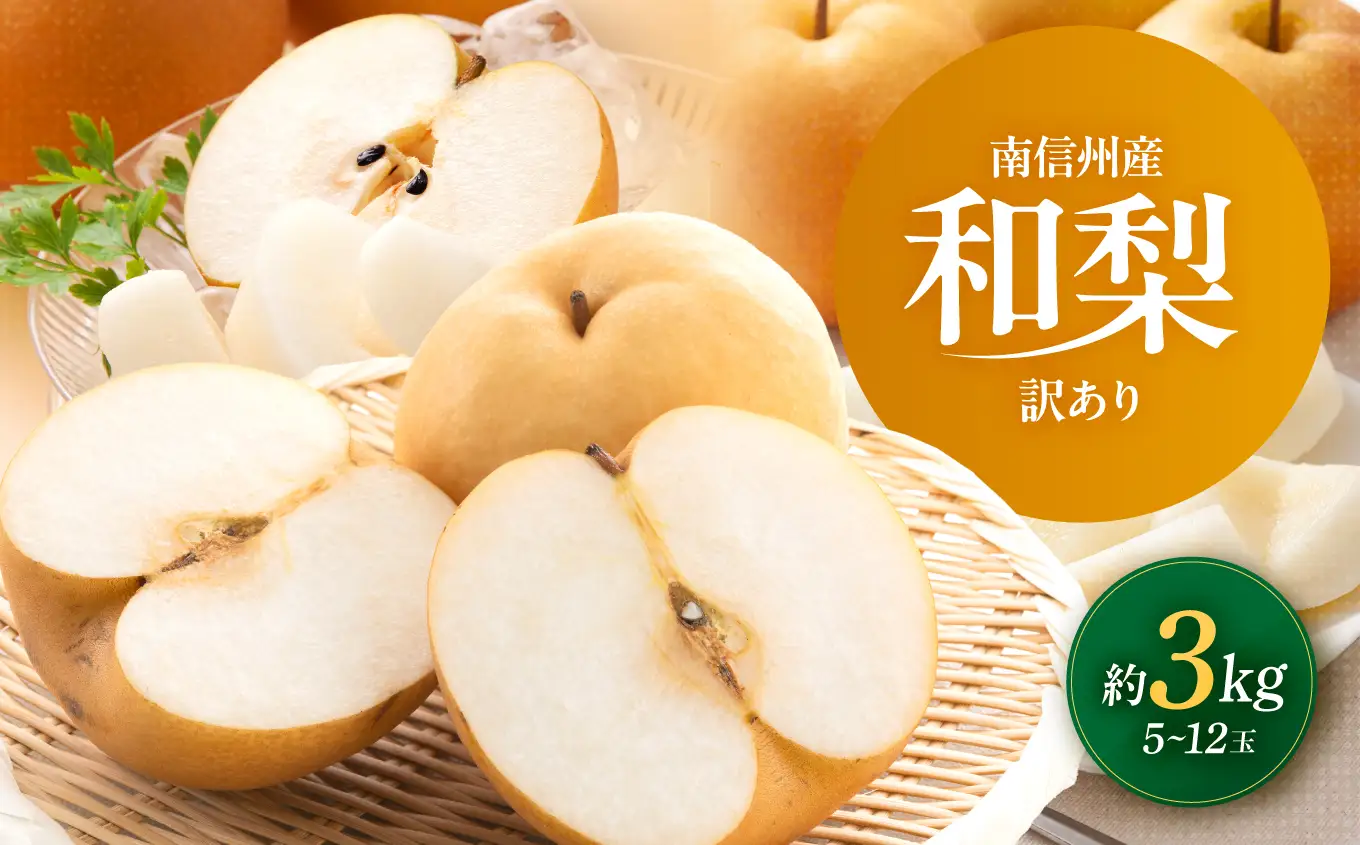 南信州産 訳あり 和梨 約3kg 【2026年先行予約】
