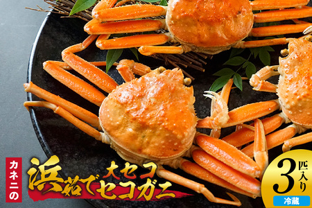 【先行予約】カネニの浜茹でセコガニ 大セコ 3匹入 【令和8年11月中旬以降発送予定】カニ かに カネニ 06-19