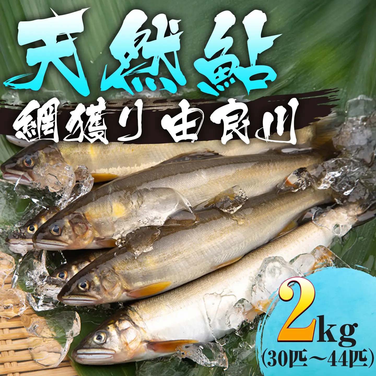 天然鮎 網獲り 冷凍 約2kg（約30匹～44匹）