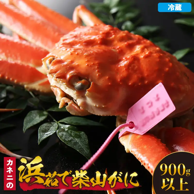 【先行予約】浜茹で柴山がに 900g以上 冷蔵【令和8年11月中旬以降発送予定】 高級 かに カニ 06-21