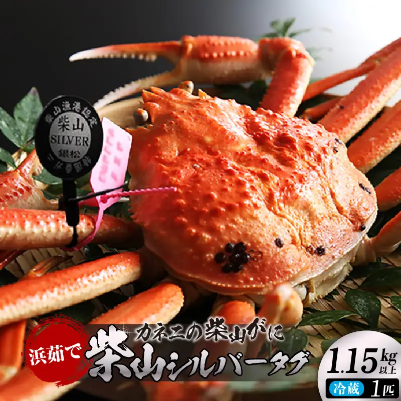 【先行予約】カネニ 浜茹で 柴山がに 柴山シルバータグ付き ボイル後1.15kg以上 冷蔵【令和8年11月中旬以降発送予定】 高級 かに カニ  06-23
