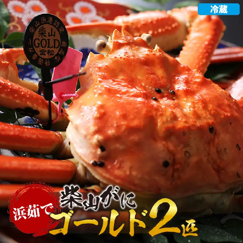 【先行予約】浜茹で 柴山ゴールド 柴山がに ゴールドタグ付きが一度に2匹も揃う奇跡 冷蔵 【令和8年11月中旬以降発送予定】 高級 かに カニ  06-24