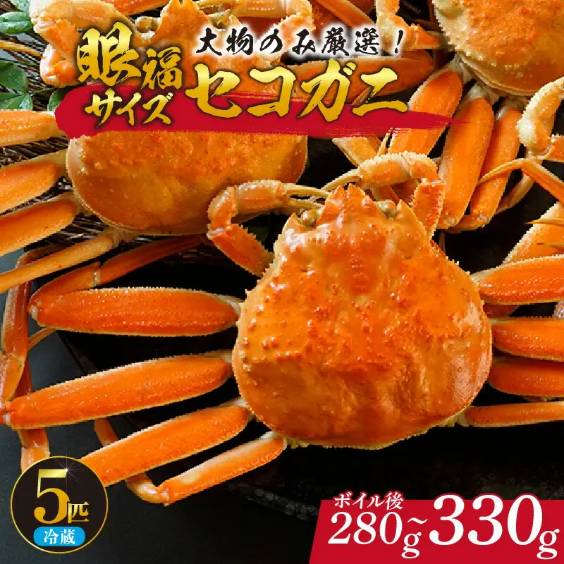 【先行予約】1匹 280g～330g 大物 眼福サイズ セコガニ 5匹セット 冷蔵 【令和8年11月中旬以降発送予定】かに カニ  06-25