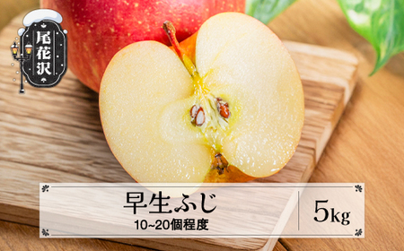 先行予約 りんご 早生ふじりんご 秀品 5kg(10~20個程度) 令和8年産 sb-riwfx5-b