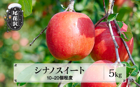 先行予約 りんご シナノスイート 秀品 5kg (10~20個程度) 令和8年産 sb-rissx5-b