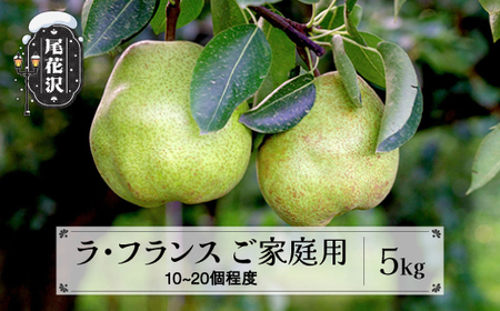 先行予約 訳あり ラ・フランス 無印品 5kg 令和8年産 sb-laxxw5-b