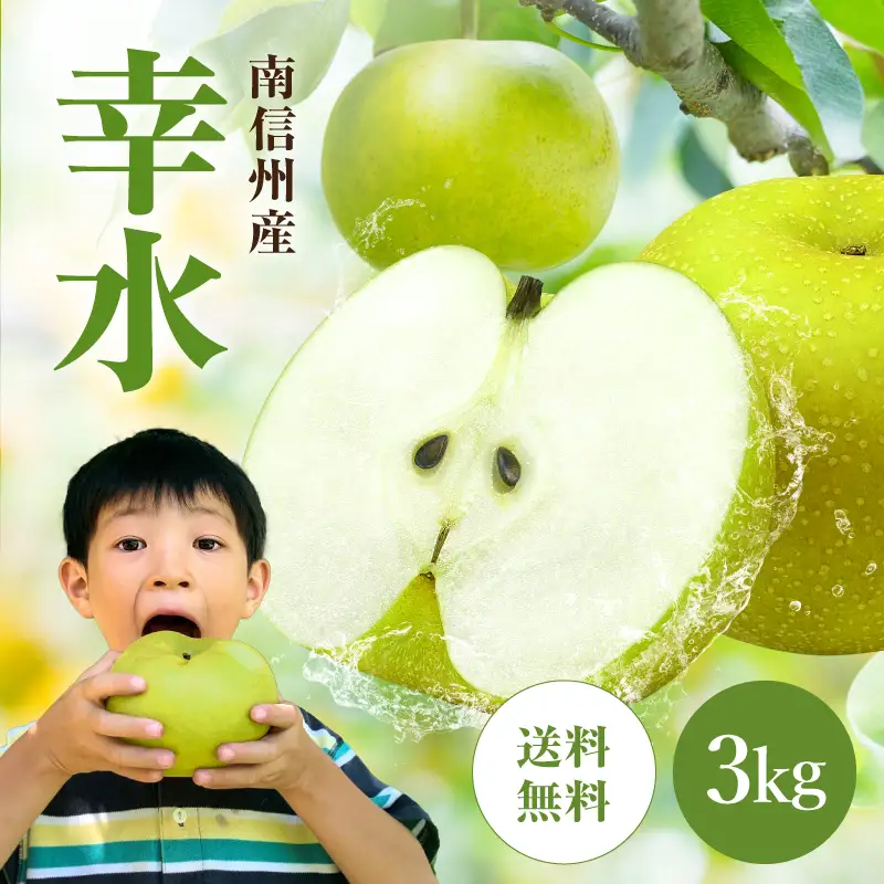 南信州産 梨【幸水】3kg ＜2026年8月上旬～中旬発送＞