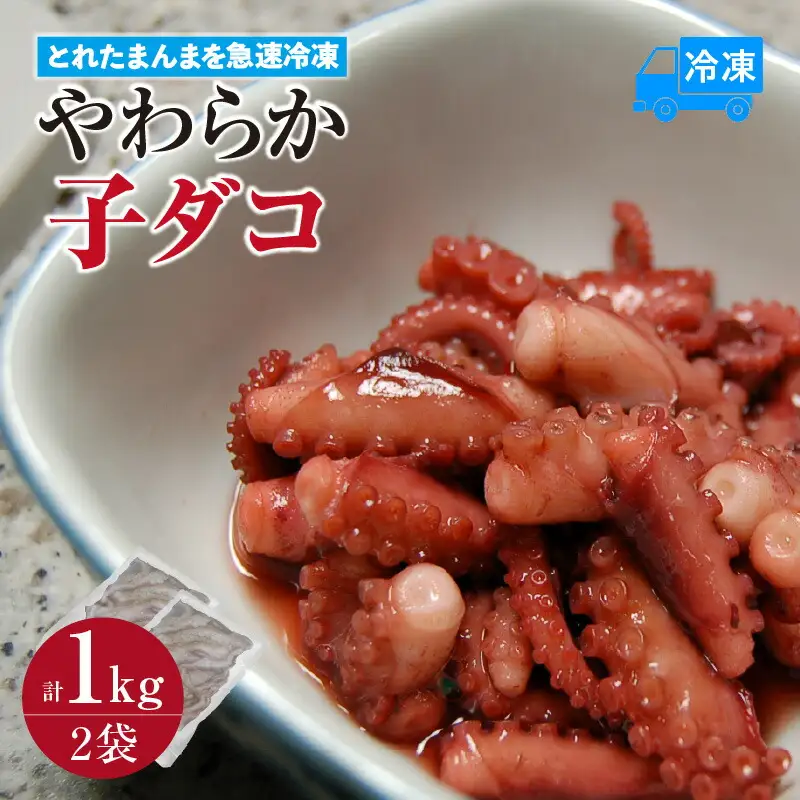 やわらか子ダコ 500g×2袋 冷凍 たこ  74-28