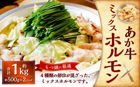熊本和牛あか牛ホルモン約1kg（約500g×2） あか牛 ホルモン 4種類 肉 お肉 牛肉 褐牛 褐毛和種 和牛 国産牛 小腸 大腸 アカセンマイ センマイ 熊本県 上天草市 冷凍