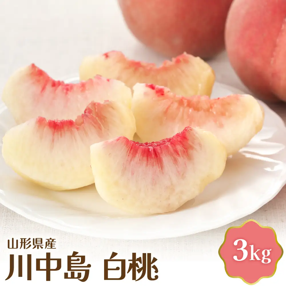 桃 白桃 川中島白桃 3kg 令和8年産 山形県産 桃 フルーツ