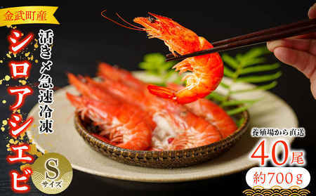 エビ【養殖場から直送】活き〆急速冷凍 金武町産 シロアシエビ　Sサイズ （バナメイエビ） 海老