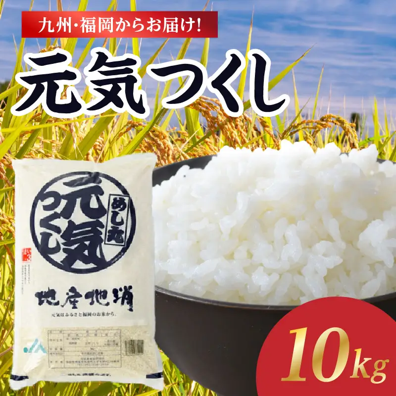 九州・福岡からお届け！ブランド米「元気つくし」 10kg(5kg×2) お米 米 コメ 白米 特A 直送 お弁当 おにぎり 炊きたて ツヤ 粘り もちもち 弾力 卵かけご飯 福岡県 八女市 072-334