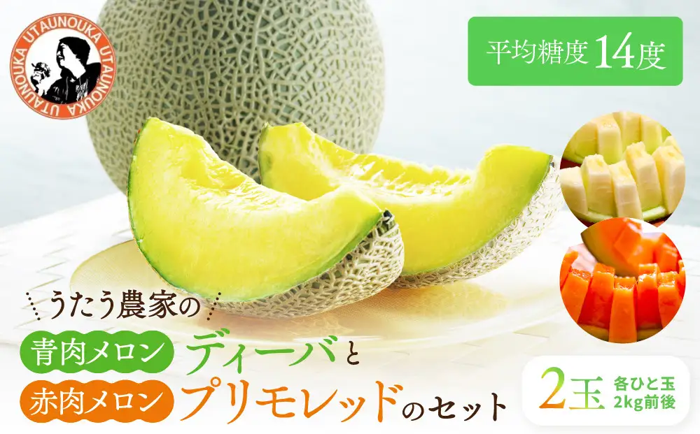 【先行予約】956.【ふるさと納税】青肉メロンディーバと赤肉メロンプリモレッドのセット ※日本全国配送可能  2026年10月上旬頃～11月上旬頃に順次発送予定