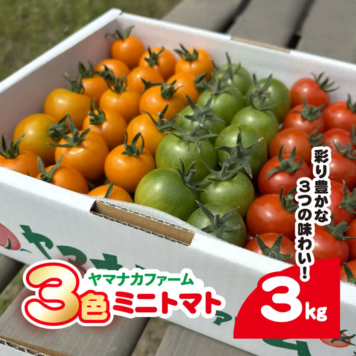 3色ミニトマト　3㎏（1.5㎏×2箱） SHAK002