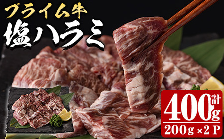 プライム牛 塩ハラミ(計400g) 小分け 牛肉 肉 ハラミ 牛はらみ 味付け 焼肉 塩 BBQ 冷凍 大分県 佐伯市【DH295】【(株)ネクサ】
