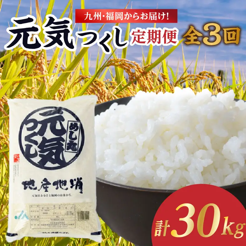 九州・福岡からお届け！ブランド米「元気つくし」定期便 10kg(5㎏×2)【全3回】 お米 米 コメ 白米 特A 直送 お弁当 おにぎり 炊きたて ツヤ 粘り もちもち 弾力 卵かけご飯 福岡県 八女市 072-T154