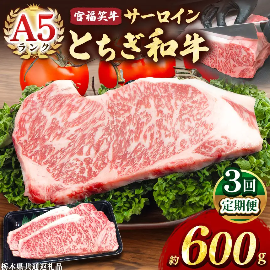 【定期便3回】宮福笑牛(とちぎ和牛) A5 サーロインステーキ 約200gx3枚  
