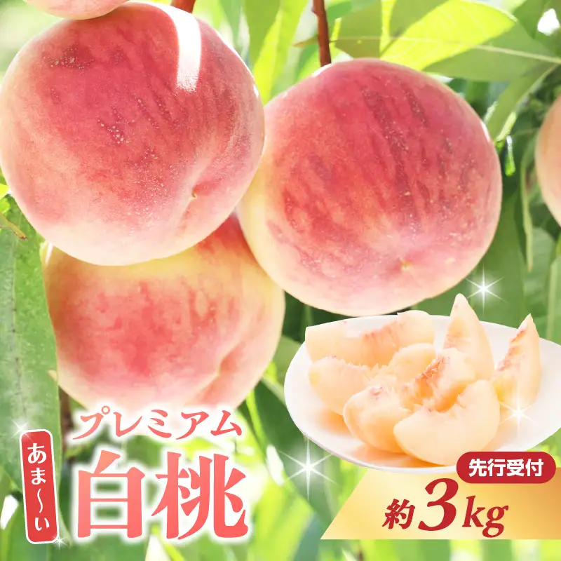 ≪先行受付≫ 甘～い プレミアム白桃 約3kg【2026年8月中旬頃～発送予定】 060-014