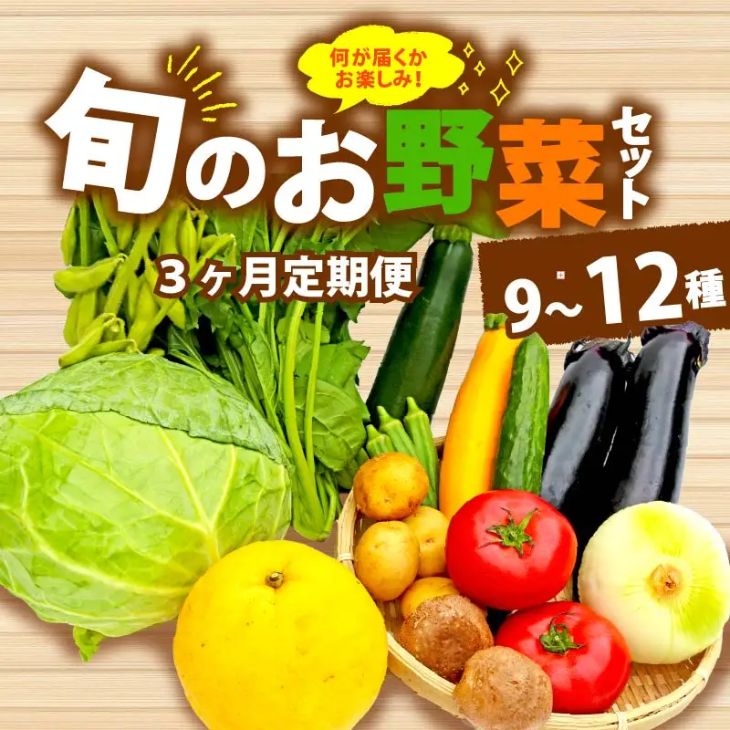 【全3回定期便】 野菜 詰め合わせ おまかせ 野菜詰合せ （9?12種）