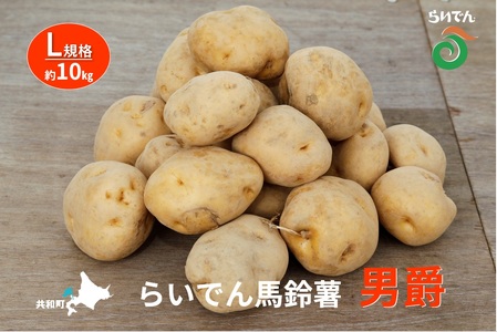 2026年 8月 出荷 先行予約 らいでん 馬鈴薯 男爵 L 規格 約10kg じゃがいも イモ 芋 ポテト 北海道 共和町 産地直送 JAきょうわ 野菜 