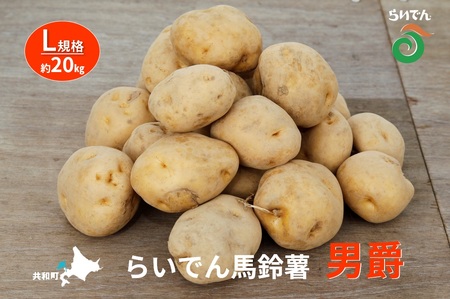 2026年 8月 出荷 先行予約 らいでん 馬鈴薯 男爵 L 規格 約 20kg じゃがいも イモ 芋 ポテト 北海道 共和町 産地直送 JAきょうわ 野菜 根菜 