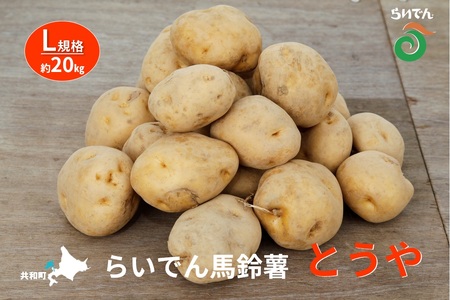 2026年 8月 出荷 先行予約 らいでん 馬鈴薯 とうや L 規格 約 20kg じゃがいも イモ 芋 ポテト 北海道 共和町 産地直送 JAきょうわ 野菜 根菜 