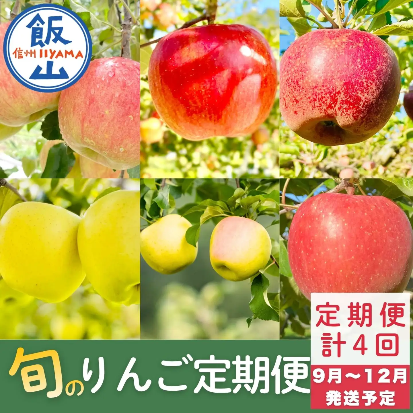 【先行予約│2026年発送 定期便 全4回】旬のりんご定期便 （At-029）