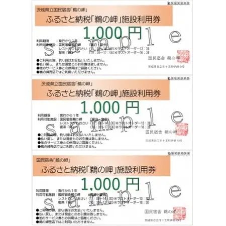 国民宿舎宿泊利用率NO.1「鵜の岬」館内利用券1,000円×3【配送不可地域：離島・沖縄県】【1606374】