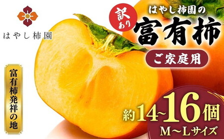 【先行予約】【訳アリ】はやし柿園のご家庭用 富有柿 M～Lサイズ 約14～16個 | 柿 富有柿  ※2026年11月中旬頃より順次発送予定