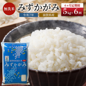 特A受賞歴 定期便 6ヶ月 5kg みずかがみ BG無洗米 無洗米 令和7年産 滋賀県産 米 近江米 ミズカガミ 時短 定期 6回