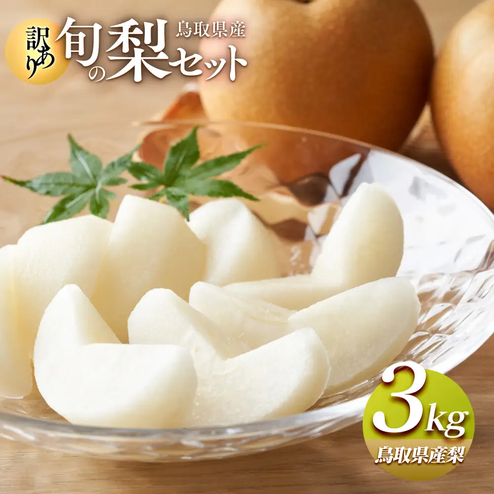 【訳あり】鳥取県産旬の梨セット 3kg 梨