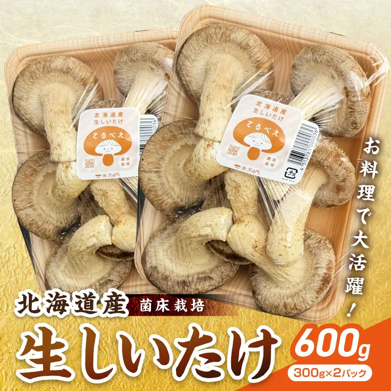北海道産 生しいたけ(菌床) 2パック ( きのこ キノコ 椎茸 シイタケ )【038-0012】