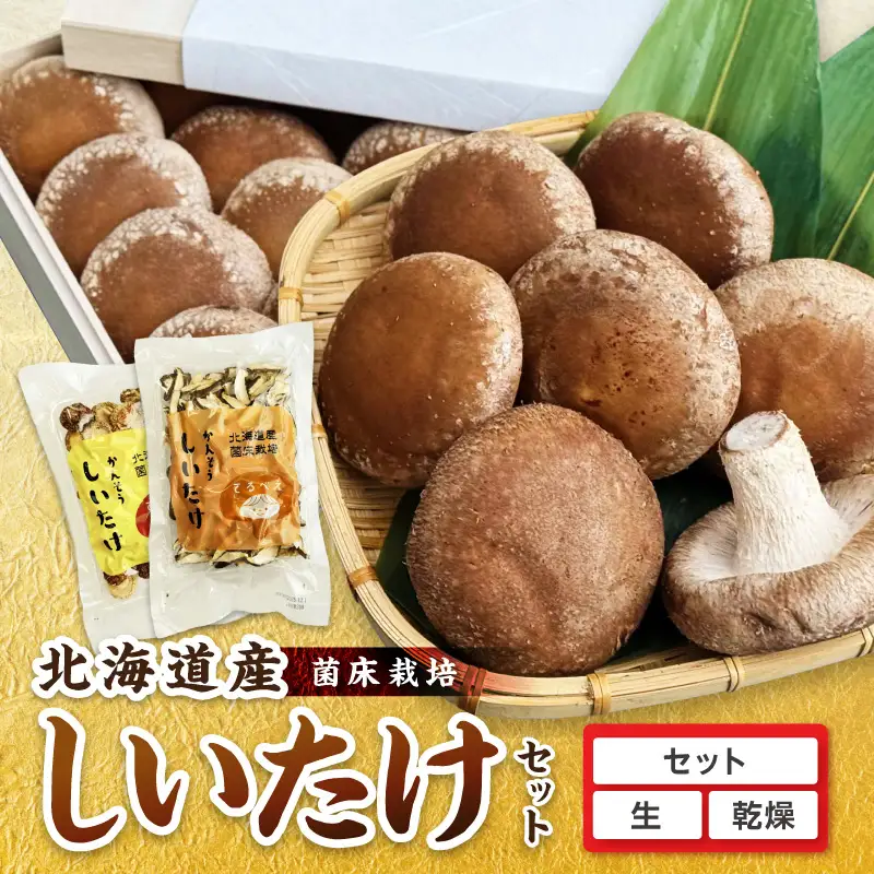 【木箱入】北海道産 生しいたけ(菌床) 乾しいたけ(ひと口・スライス)セット ( きのこ キノコ 椎茸 シイタケ )【038-0008】
