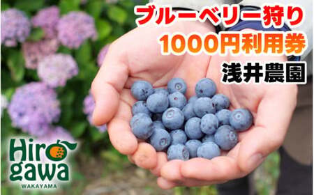 ブルーベリー 狩り 1000円×2枚 利用券 ※6月上旬～7月下旬 開催！ 食べ放題 時間無制限 で約10品種の食べ比べをお楽しみください♪ / ハイブッシュ ラビットアイ ファミリー カップル 女性 におすすめ♪【asa911-cp2】