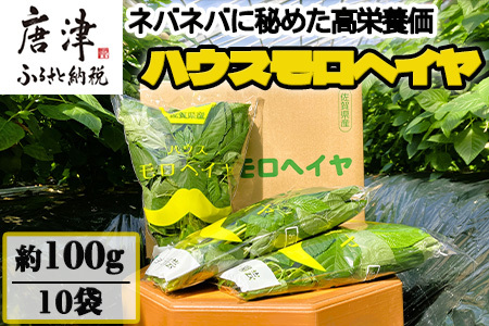 ハウスモロヘイヤ 100g×10袋 ネバネバ 高栄養価（βカロテン/各種ビタミン/カルシウム/カリウム/葉酸など) 定番おひたし 和洋中の各種スープ 色んなお料理のソースにも 野菜 ねばねば