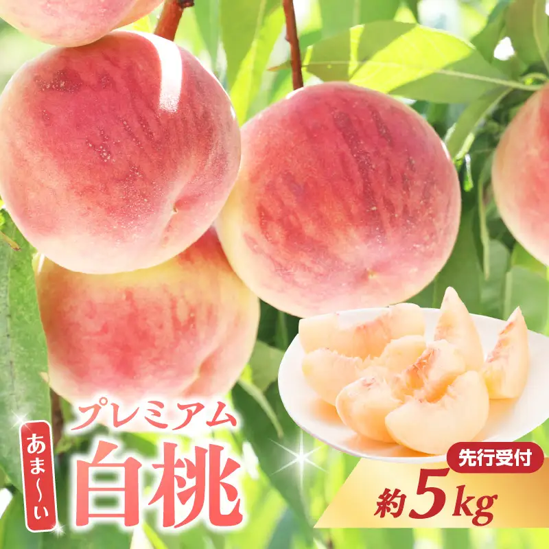 ≪先行受付≫ 甘～い プレミアム白桃 約5kg【2026年8月中旬頃～発送予定】 060-015