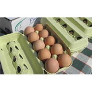ポロニ養鶏場　標茶町産有精卵10個×3パック　|  卵