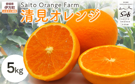 【先行予約】Saito Orange Farmの清見オレンジ5kg（2027年3月中旬頃より順次発送予定） IKTAQ007