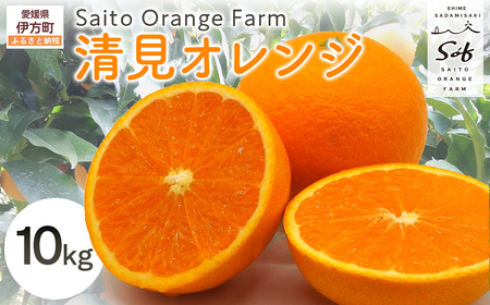【先行予約】Saito Orange Farmの清見オレンジ10kg（2027年3月中旬頃より順次発送予定） IKTAQ008