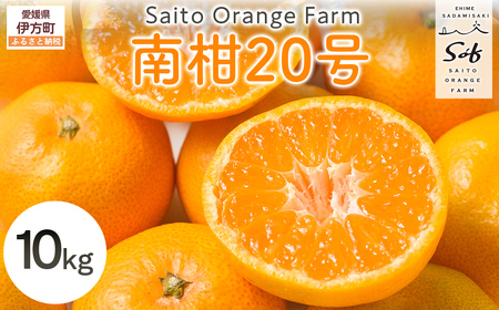 【先行予約】Saito Orange Farmの南柑20号10kg（2026年12月下旬頃より順次発送予定） IKTAQ019